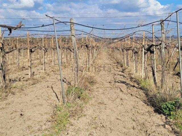 Terreno in vendita di 12000 m² in Via Scarafone