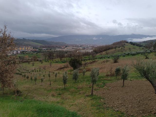 Terreno in vendita di 12000 m² in Via pianette