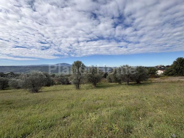 Terreno in vendita di 12000 m² in Via Piave