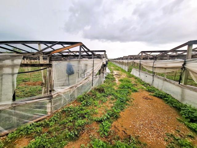 Terreno in vendita di 12000 m² in Contrada Anguilla