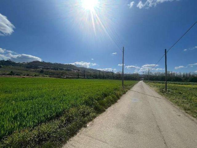 Terreno in vendita di 12000 m² in Contrada Piano Morra