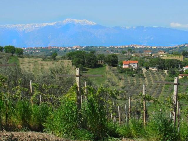 Terreno in vendita di 1200 m² in Contrada Civita