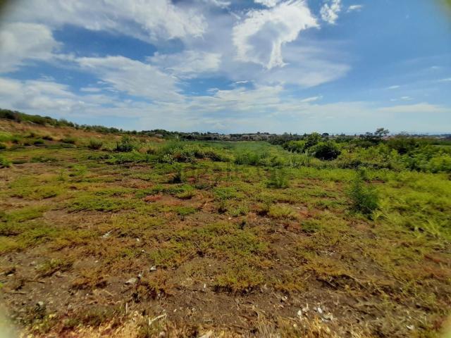 Terreno in vendita di 1200 m² in Via Carlino, 47