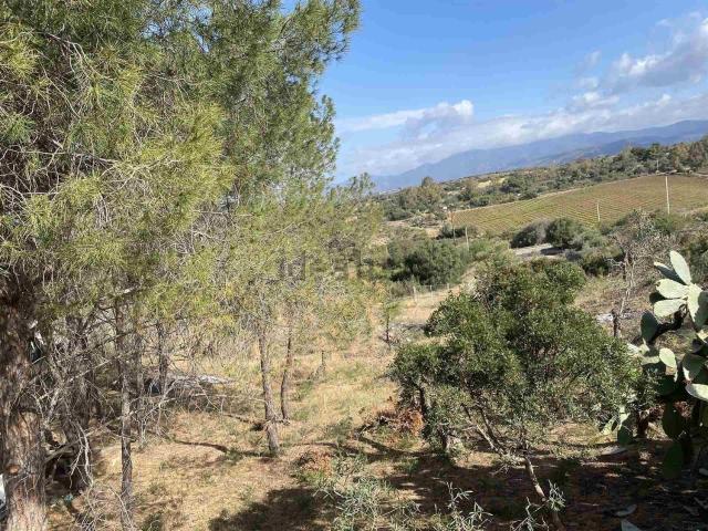 Terreno in vendita di 1200 m²