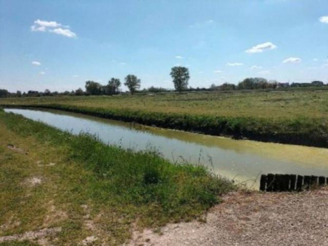 Terreno in vendita di 120141 m² in Via Nazzareno Strampelli