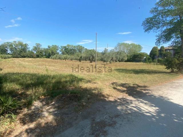 Terreno in vendita di 12060 m² in Strada Provinciale Paludi