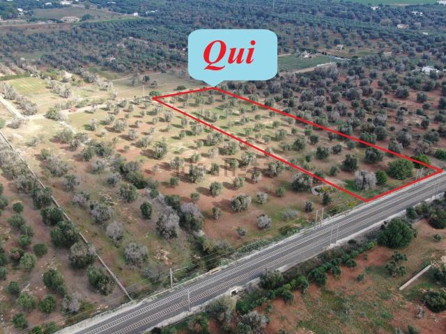 Terreno in vendita di 12102 m² in Contrada Frascinari