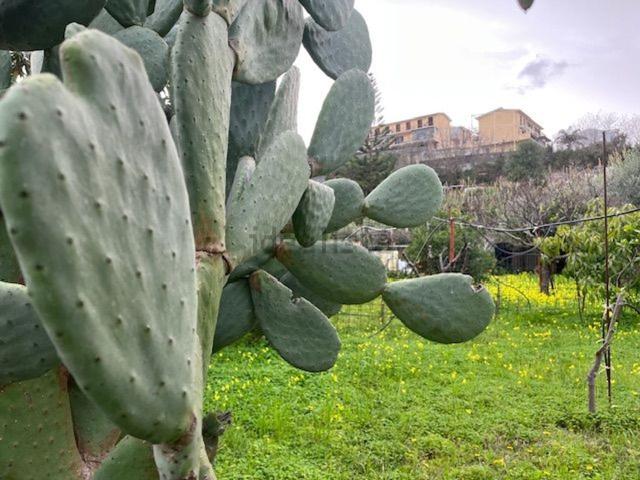 Terreno in vendita di 1223 m² in Via Paolo VI