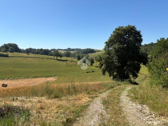 Terreno in vendita di 12300 m² in Via Casa Ostino