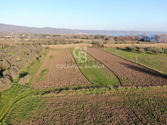 Terreno in vendita di 12360 m² in Via Cassia Nord