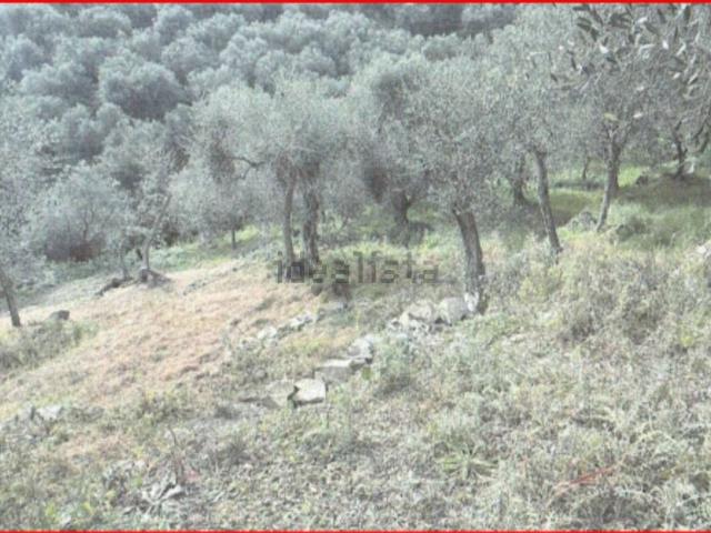 Terreno in vendita di 1238 m² in Via Nostra Signora delle Grazie