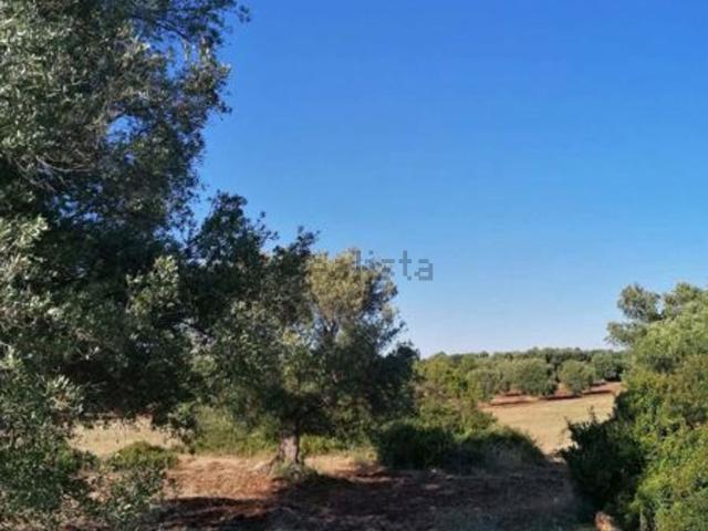 Terreno in vendita di 13400 m² in Contrada LAPADULA