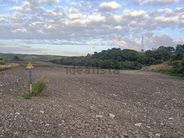 Terreno in vendita di 134959 m² in Strada Statale 647 Fondo Valle del Biferno