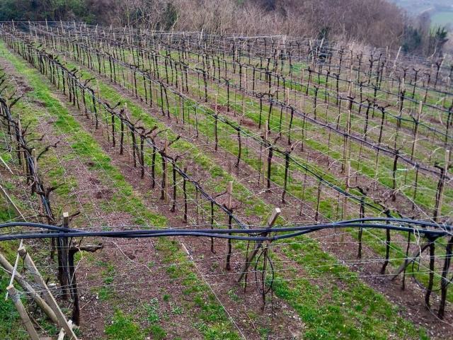 Terreno in vendita di 13500 m²