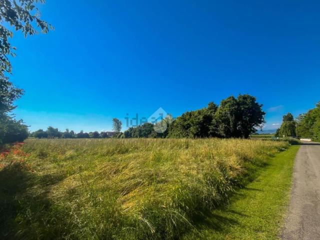 Terreno in vendita di 13500 m² in Via Bassa Paolucci