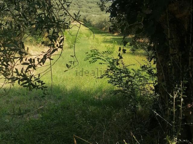 Terreno in vendita di 13500 m² in Via Grotta