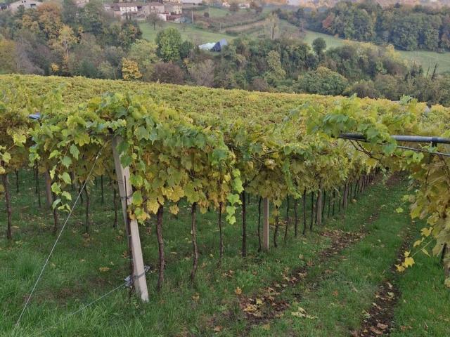 Terreno in vendita di 13500 m² in Via Rugolotti