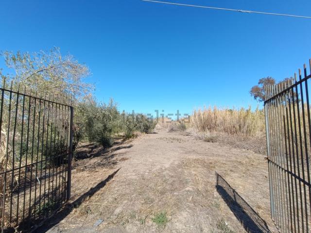 Terreno in vendita di 13500 m² in Contrada Chiesa