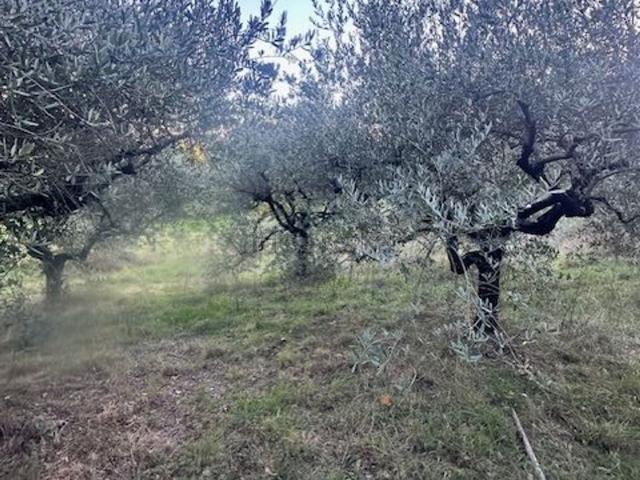 Terreno in vendita di 1350 m² in Via Monte Passeggio