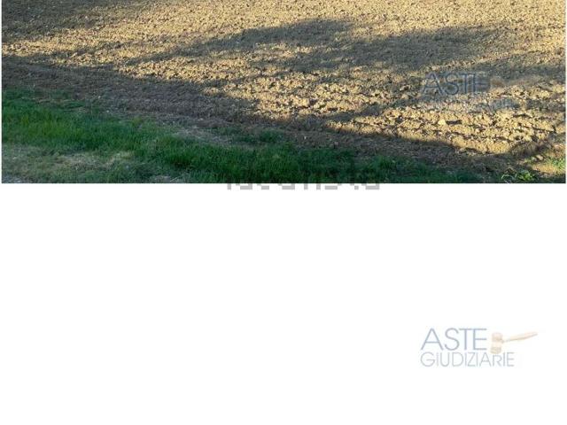 Terreno in vendita di 135530 m²