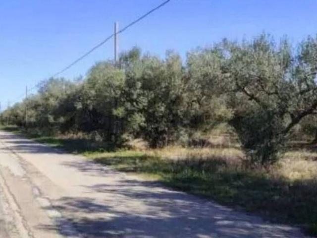 Terreno in vendita di 13585 m² in Via Vallebotte Schierata