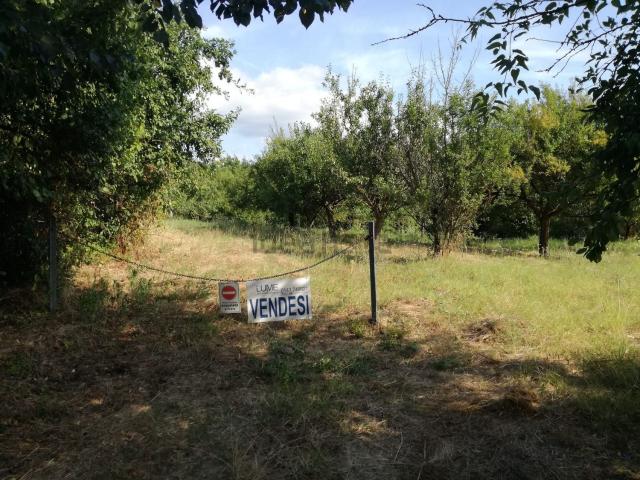 Terreno in vendita di 13640 m² in Strada Comunale di Roncaglie