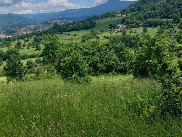 Terreno in vendita di 13670 m² in Località Riosecco