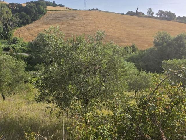 Terreno in vendita di 13685 m² in Strada Provinciale 36