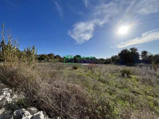 Terreno in vendita di 13755 m² in Via Sant&apos Antonio Plano Ceci, 22