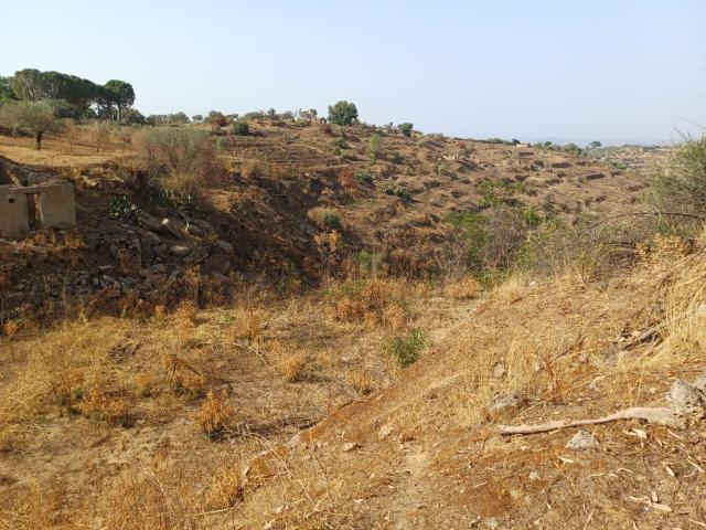 Terreno in vendita di 13800 m² in Strada Provinciale 33