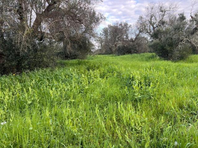 Terreno in vendita di 13851 m² in Contrada Sardella