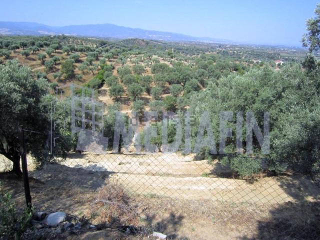 Terreno in vendita di 13873 m² in Strada Senza Nome