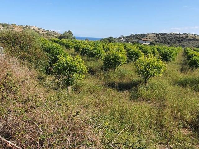 Terreno in vendita di 13900 m² in Contrada Bochini Collina degli Ulivi
