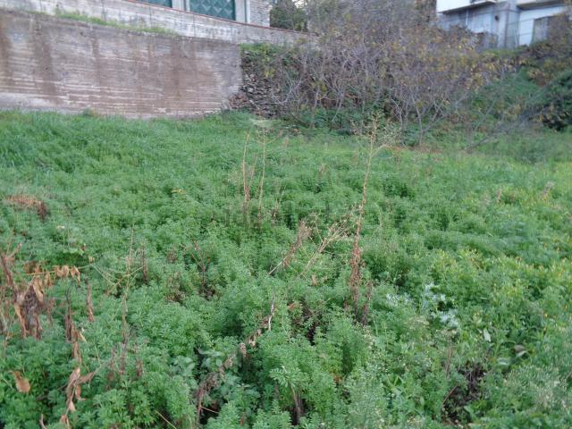 Terreno in vendita di 1395 m² in Via Sirena, 55