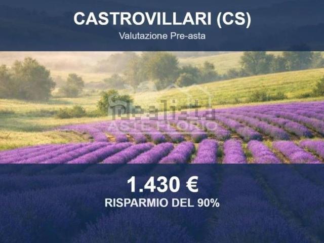 Terreno in vendita di 13970 m² in Contrada Sarturi
