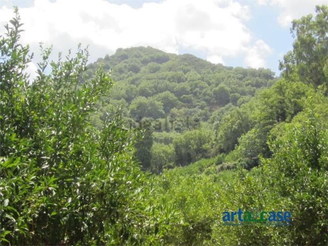 Terreno in vendita di 130000 m²