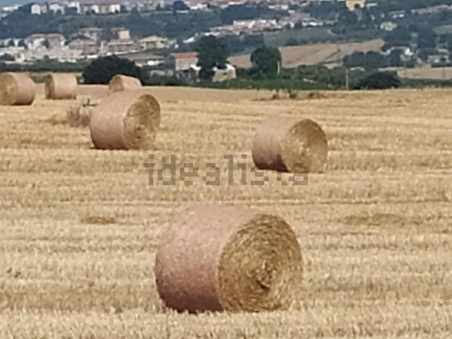 Terreno in vendita di 130000 m² in Contrada Colle Granata, 7
