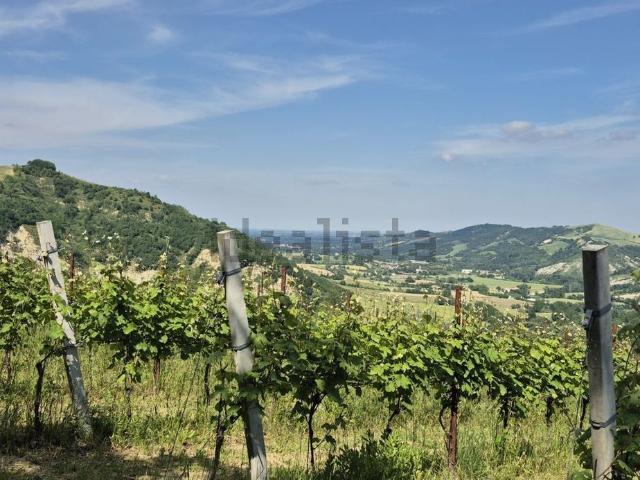 Terreno in vendita di 130000 m² in Via Dei Castagneti