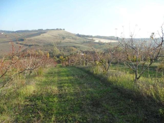 Terreno in vendita di 130000 m² in Via Ponticelli Pieve