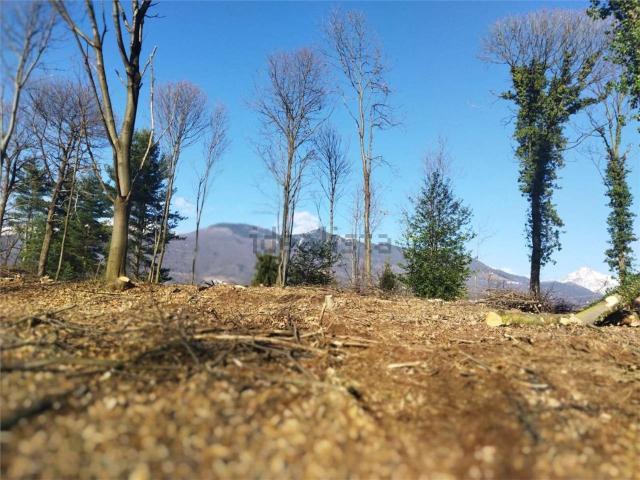 Terreno in vendita di 13000 m²