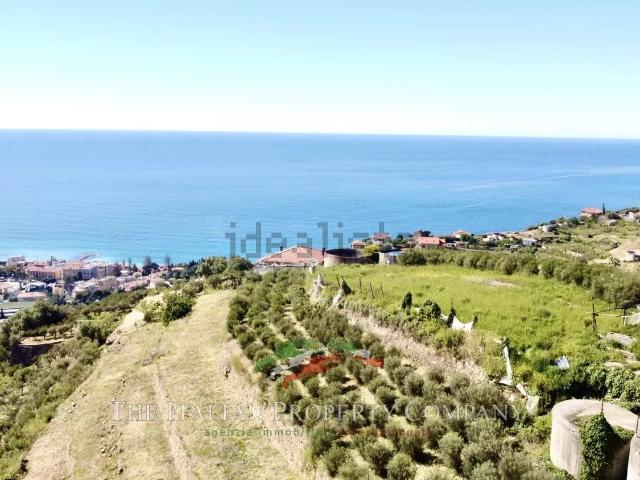 Terreno in vendita di 13000 m²