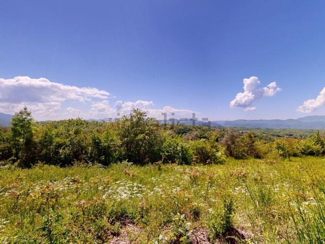 Terreno in vendita di 13000 m²