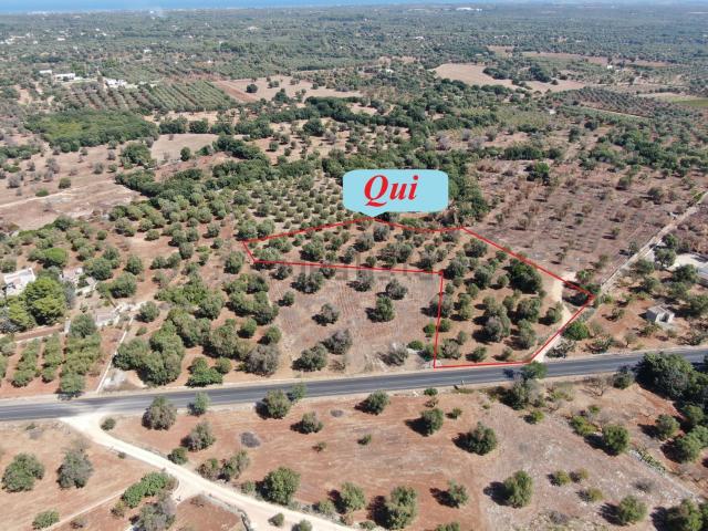 Terreno in vendita di 13000 m² in Via San Vito dei Normanni