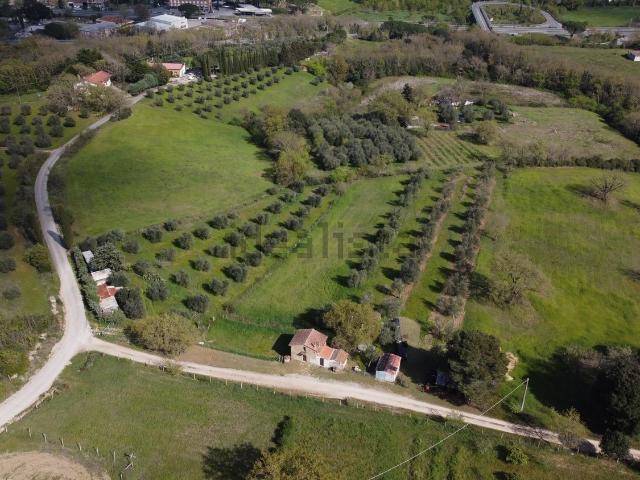Terreno in vendita di 13000 m² in Località Usi