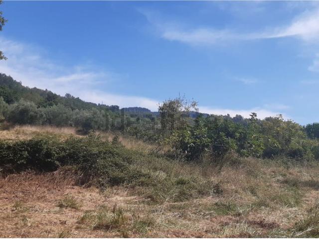 Terreno in vendita di 13020 m² in Via acquabianca