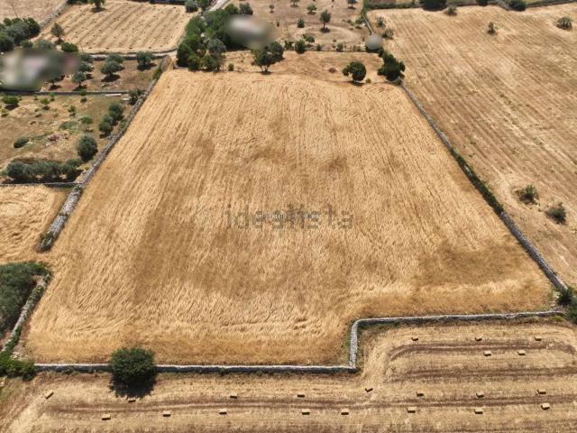 Terreno in vendita di 13036 m² in Via Vanella 91