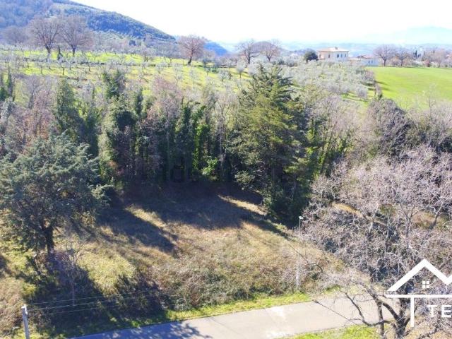 Terreno in vendita di 1310 m² in Località Querceto