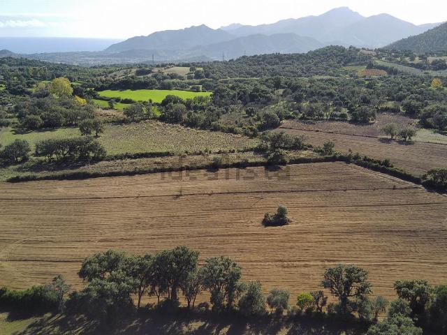 Terreno in vendita di 13115 m²