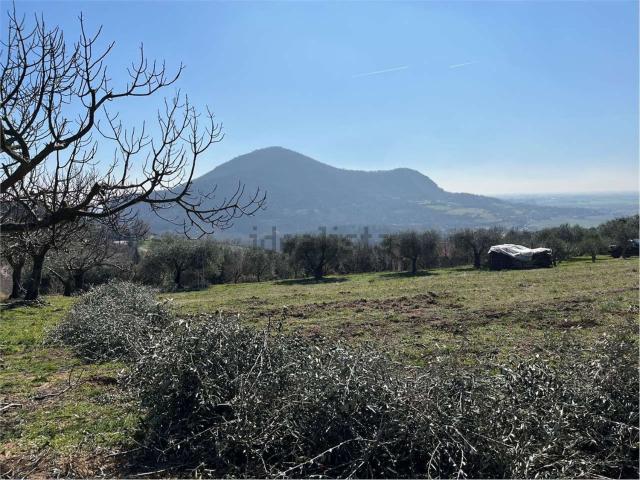 Terreno in vendita di 13136 m²