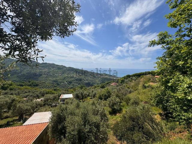 Terreno in vendita di 13160 m² in Contrada Pietra Tagliata, 87020